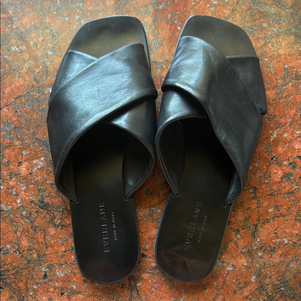 Everlane Dark Leather Slide Sandals
